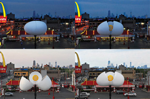 McDonald - Fresh Eggs Daily