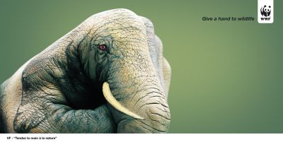 Saatchi et Saatchi pour WWF